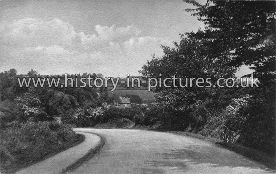Piercing Hill, Theydon Bois, Essex. c.1910